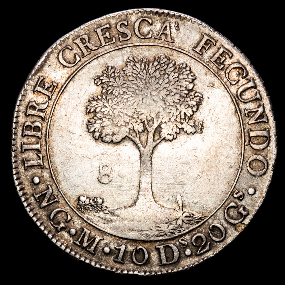 República de Centro América. 8 Reales. (26,9 g.). Nueva Guatemala. 1829. Ensayador M. KM-106.1. MBC+. Rara. Valor “R” anepígrafo.