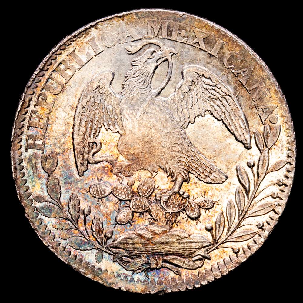 México. 1835. Zs (Zacatecas). O·M. 8 reales. (28/11 gramos). (KM. 377). Bonita pátina irisada  y brillo de menta.  Precioso ejemplar. UNC.