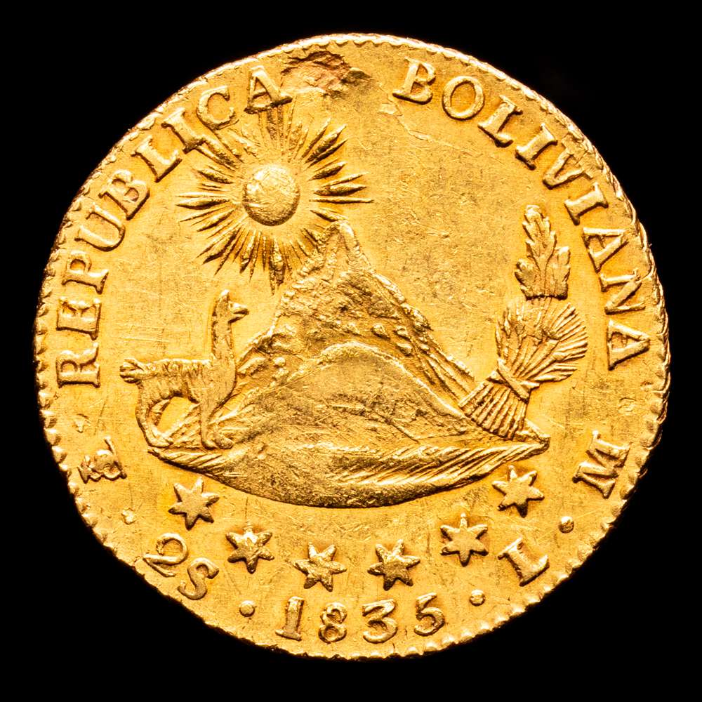 Repúbica de Bolivia. 2 Escudos. (6,76 g.). Potosí. 1835. L·M. KM-101. (Hojitas). RARA